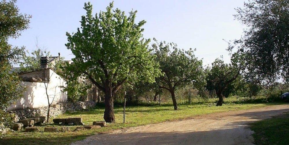 Agriturismo Terra Di Pace Noto Exterior photo